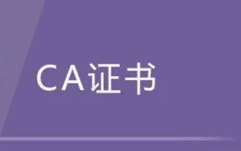 什么是 CA(SSL/TLS证书颁发机构)? 什么是 CA(SSL/TLS证书颁发机构)?(图1)