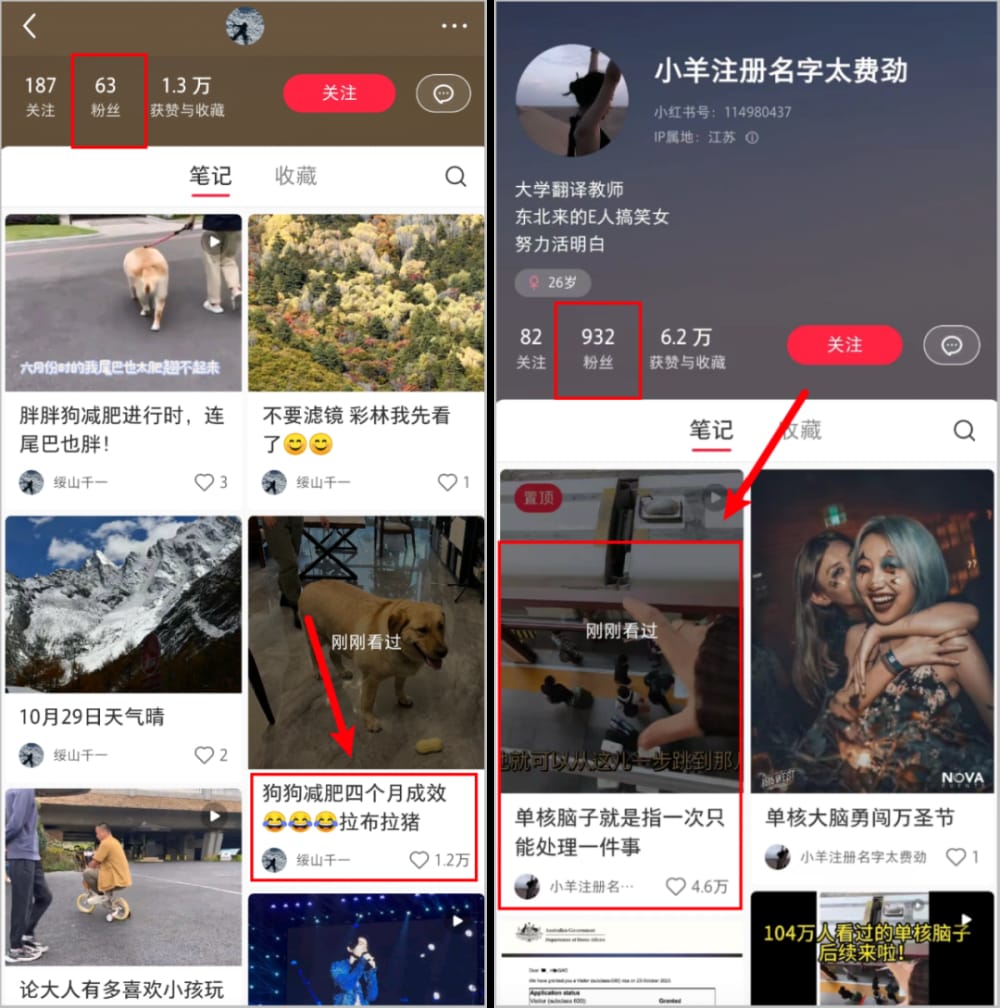由于缺乏运营经验和内容储备,也很难做到稳定更新,变成专业博主。 抖音小红书再无顶流?(图7)