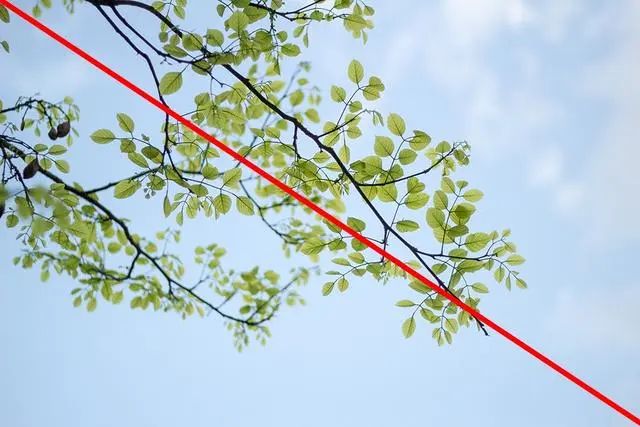 对角线构图法 热门短视频拍摄常用9大构图技巧!快收藏!(图9)