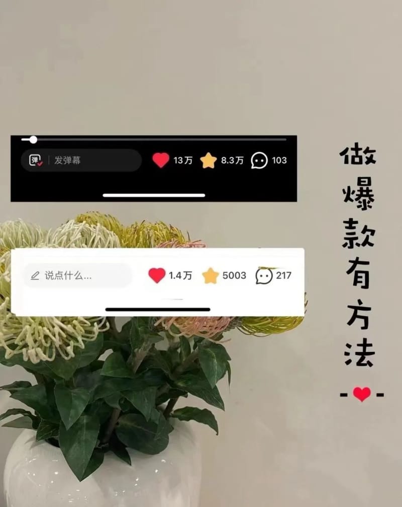 小红书爆款笔记怎么写?单条作品涨粉 4w+ 的自用方案(图2)