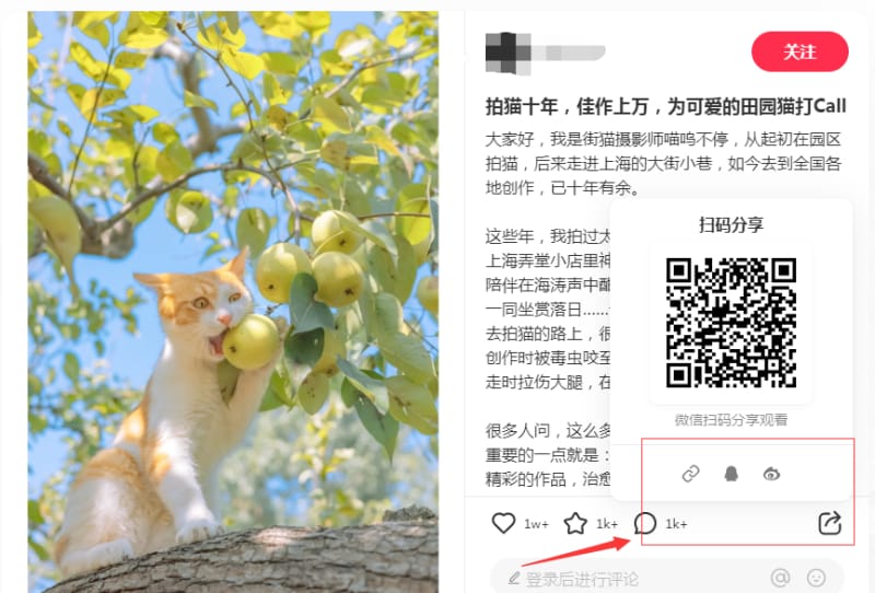 小红书去水印的方法来了,超简单!(图3)