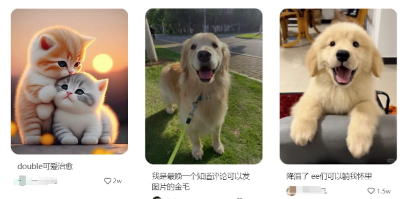小红书20个热门赛道推荐,总有一个适合你!(图14)