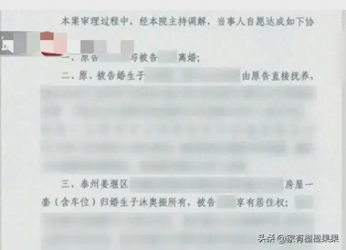 13岁儿子起诉妈妈归还100万房款,网友:可能被前夫算计了(图1)