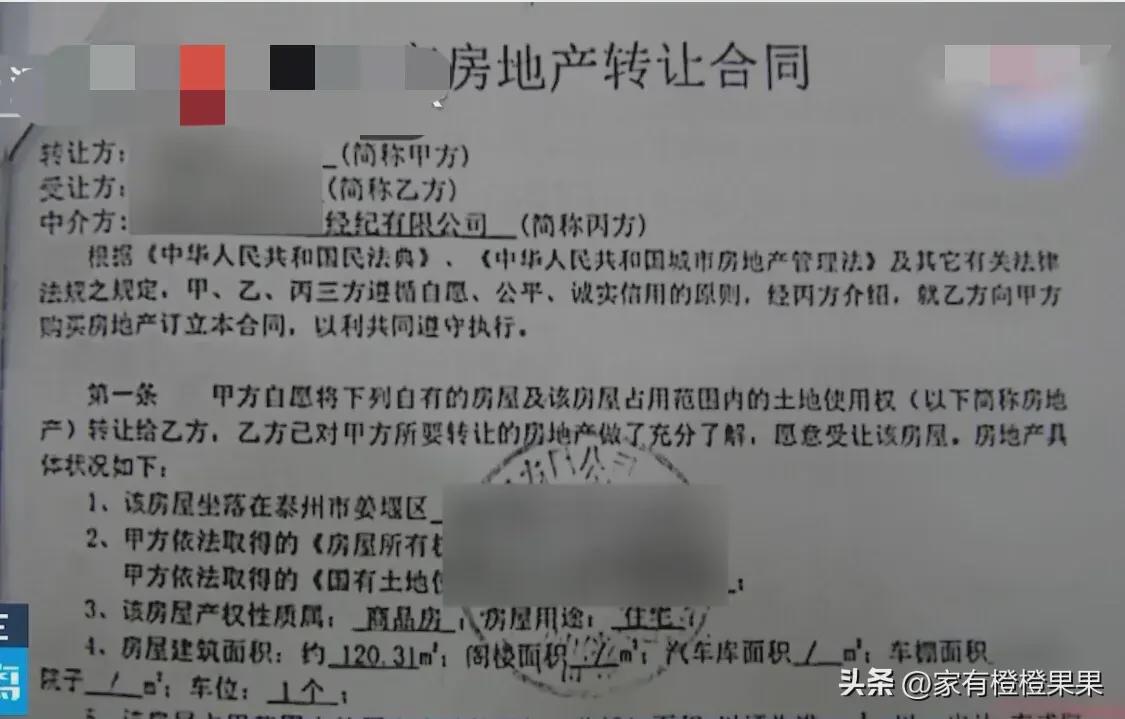 13岁儿子起诉妈妈归还100万房款,网友:可能被前夫算计了(图3)