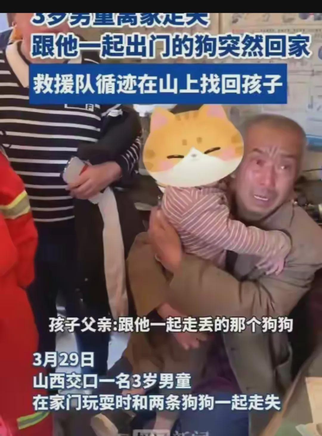 狗是人类的朋友 3岁男童走失狗狗在山上陪了一夜(图1)