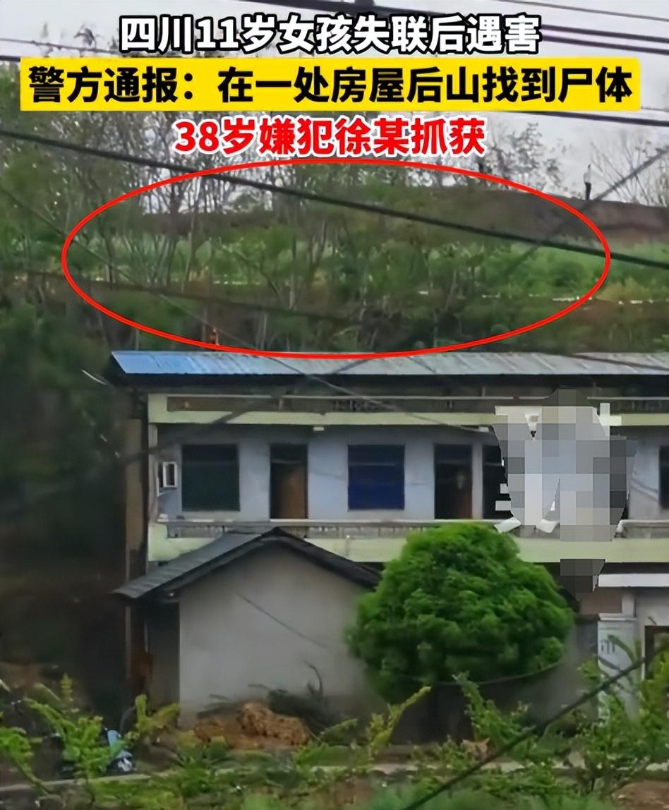 又一11岁女孩失联后遇害!靠DNA才辨认遗体,警方:38岁男子被抓(图8)
