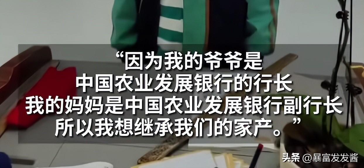闹大了!小学生“想当农发行行长,继承家产”,涉事银行紧急排查(图3)