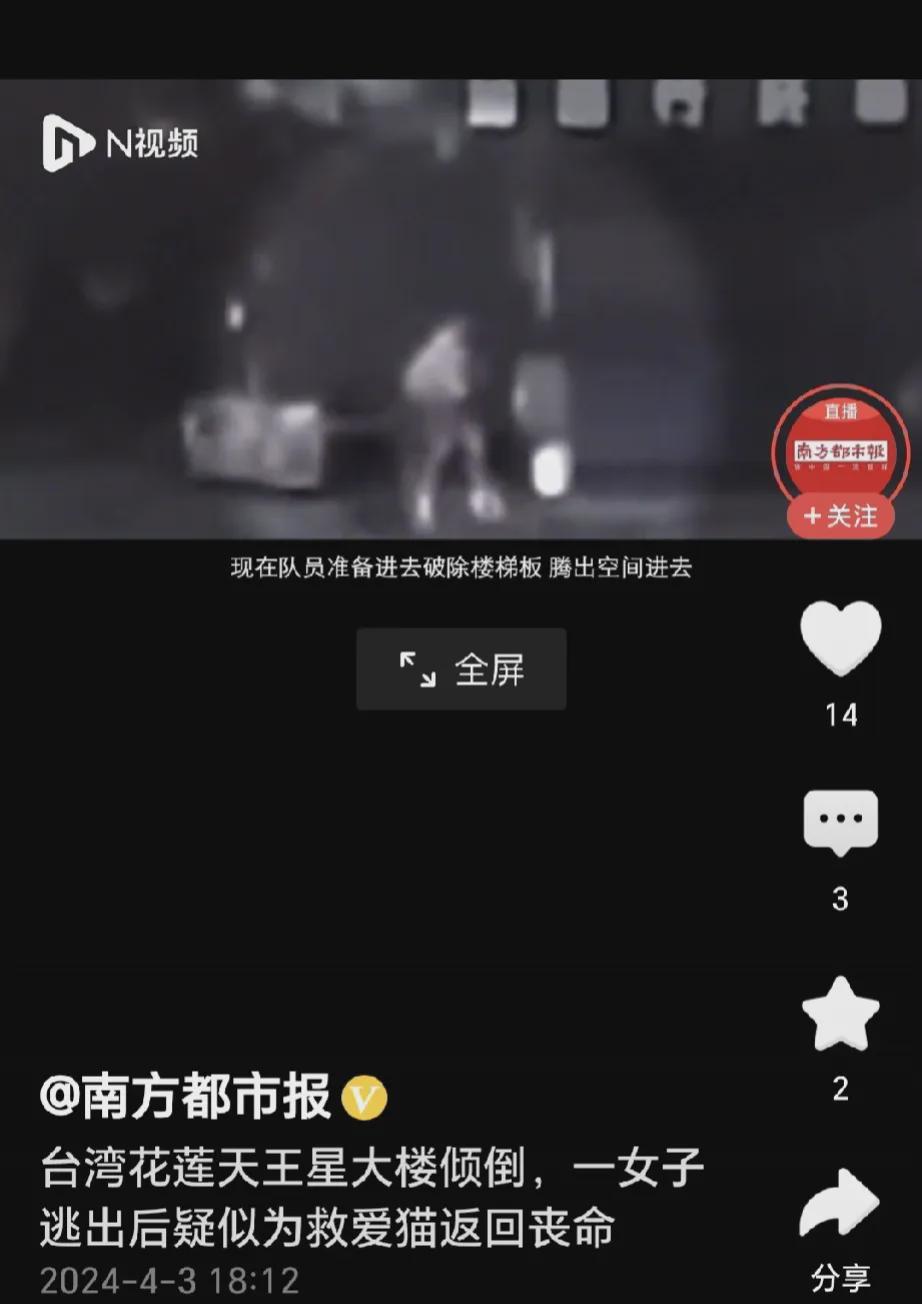 台媒:花莲一大楼女住户逃生后“折返救猫”受困，搜救人员找到时(图2)