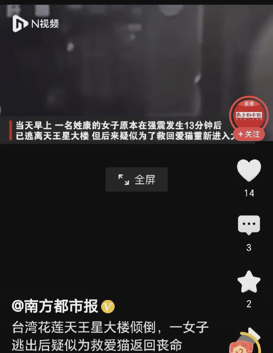 台媒:花莲一大楼女住户逃生后“折返救猫”受困，搜救人员找到时(图4)