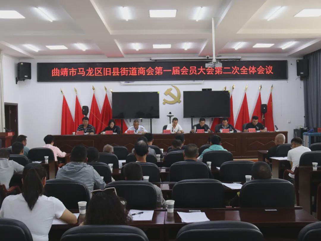 凝聚蓬勃力量共促经济发展:旧县街道商会揭牌成立(图4)