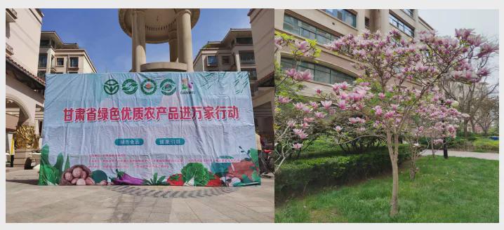 2024年第六期“甘肃优质农产品进社区”活动在城关区天庆嘉园南门外广场举办(图1)