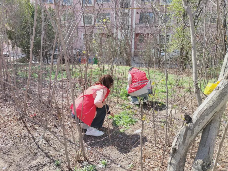 【基层治理】草场街街道大砂坪社区——禁种铲毒不止步 宣传踏查守净土(图2)