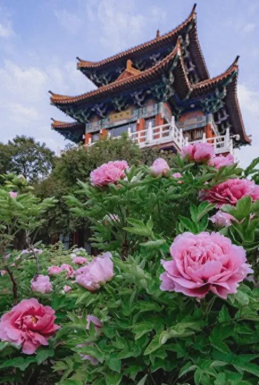 五一抢票难度堪比春运? 客服的回应看懂了吗?你抢到票了没(图1)
