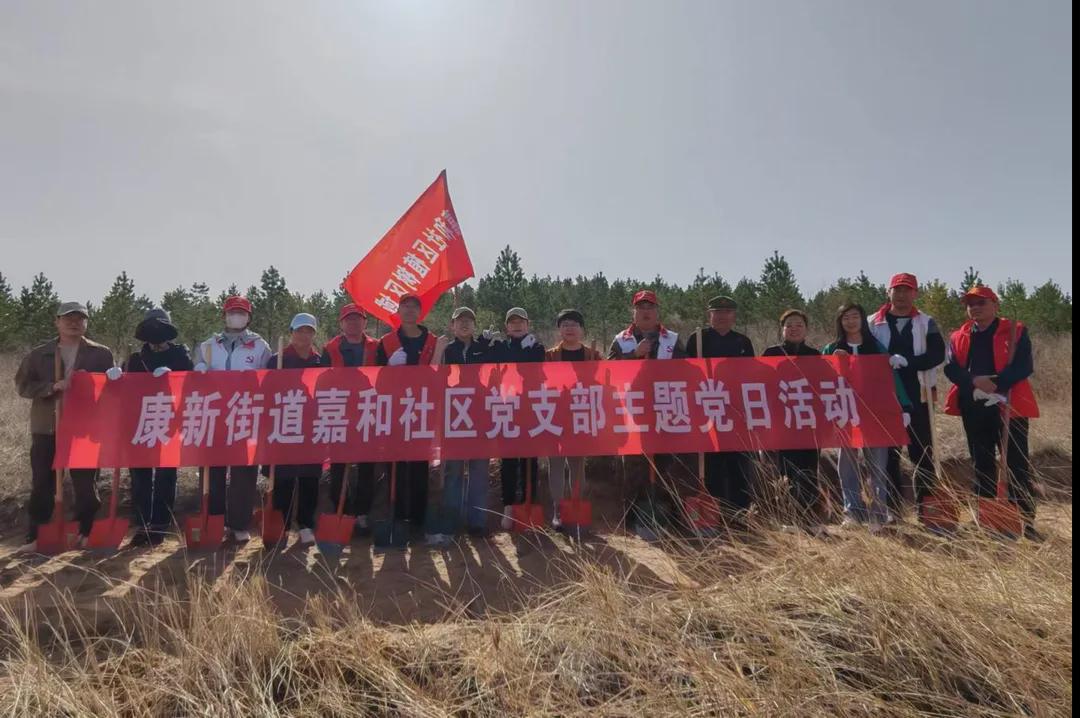 嘉和社区:“三有”模式 全力推进堡垒支部创建(图2)