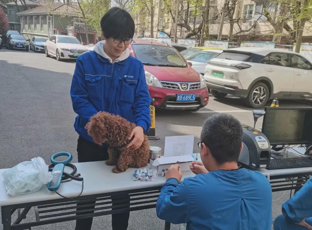 江苏路街道大学路社区开展“犬只狂犬疫苗进社区”活动(图1)