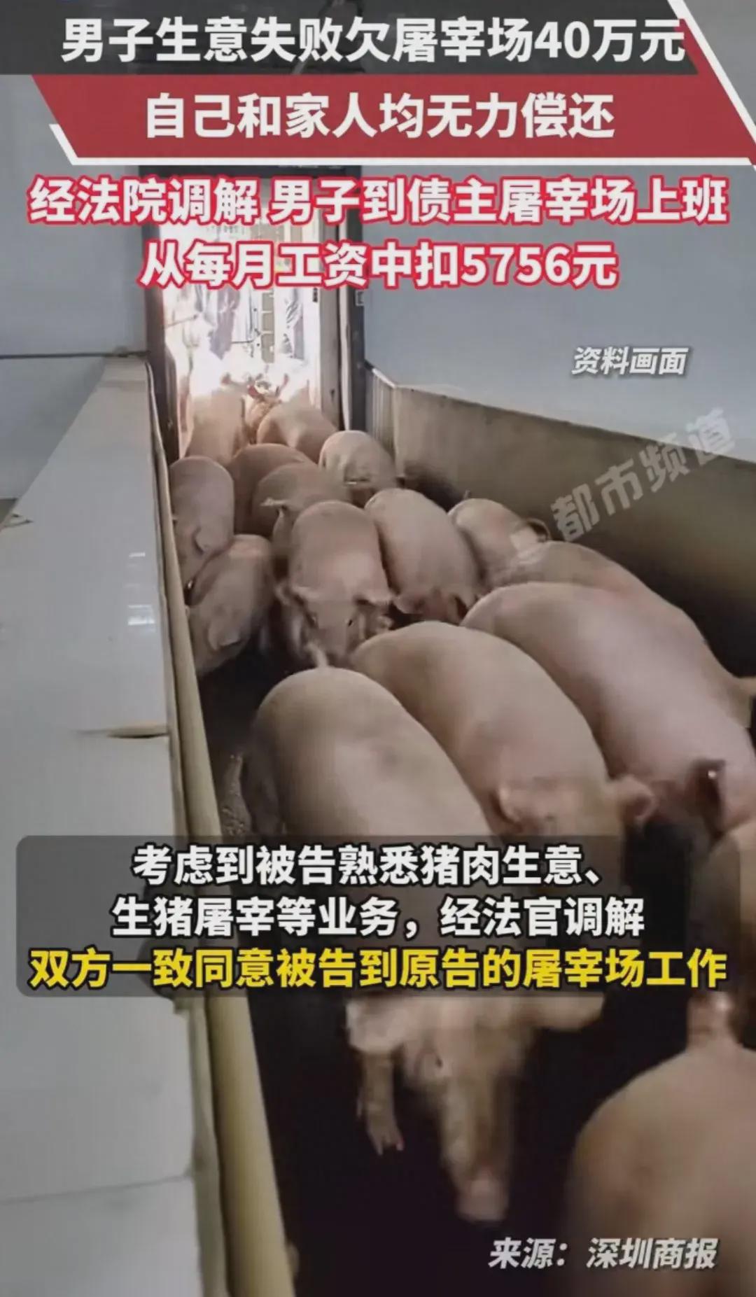 男子生意失败欠屠宰场40万成员工还债，网友:不可以，我没有(图1)
