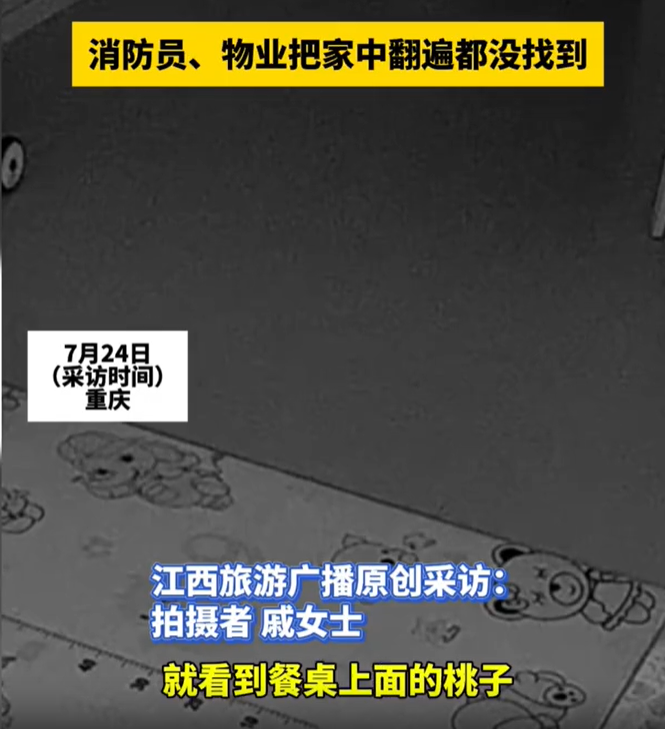 防鼠措施的重要性!家中桃子被啃 查监控发现是“老鼠”(图1)