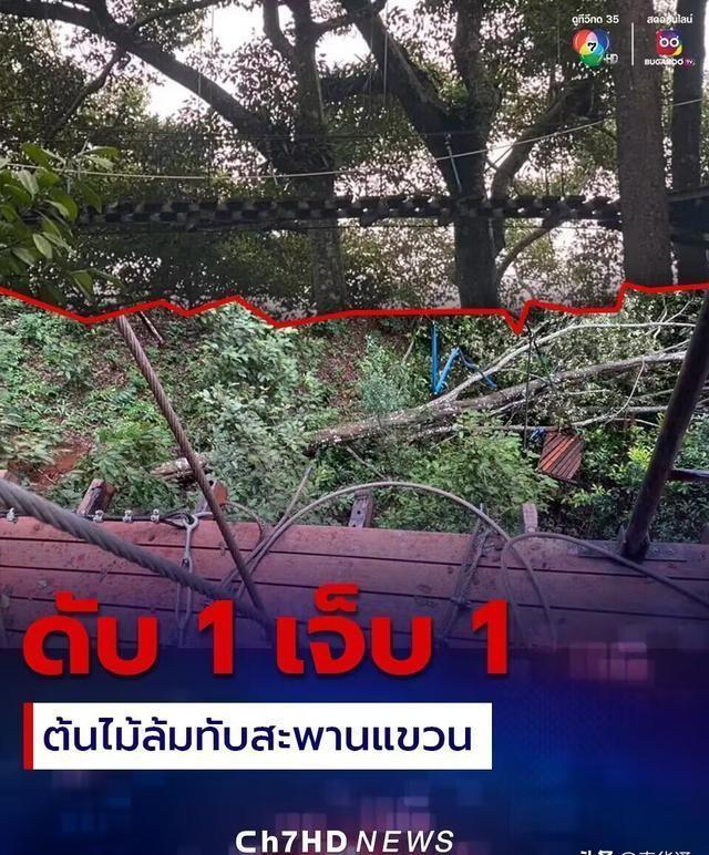 安徽夫妻泰国玩滑索致1死1伤 女方身亡,男方受伤 领馆已介入该事件(图1)
