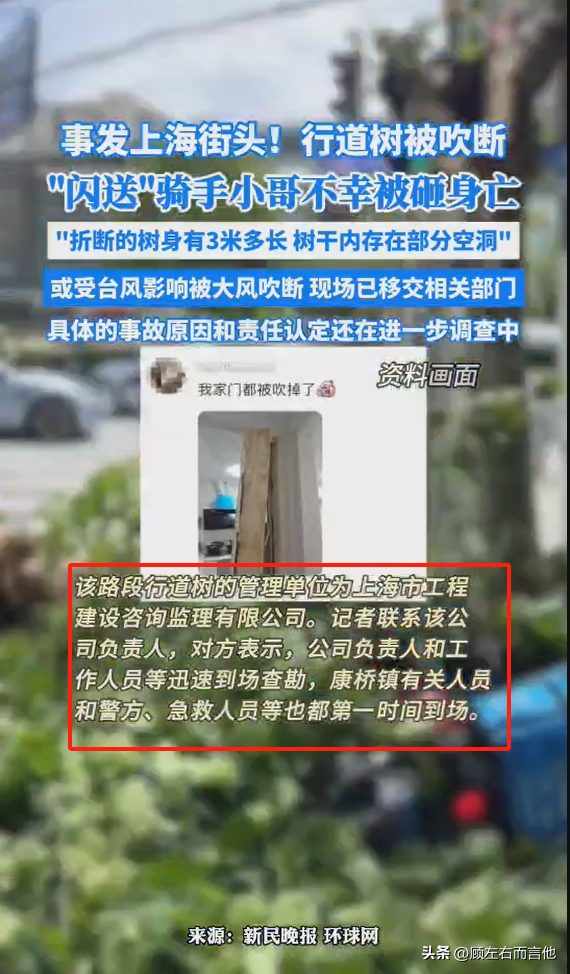 上海一外卖小哥街头被砸身亡,此路段树木全被“砍头”?官方回应(图2)