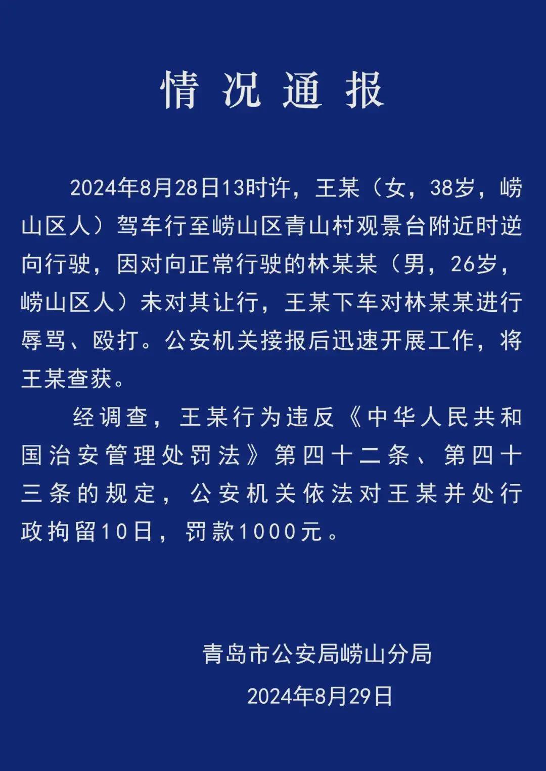 “打你怎么了?”女司机逆行还辱骂殴打他人致口鼻流血,警方通报 (图1)