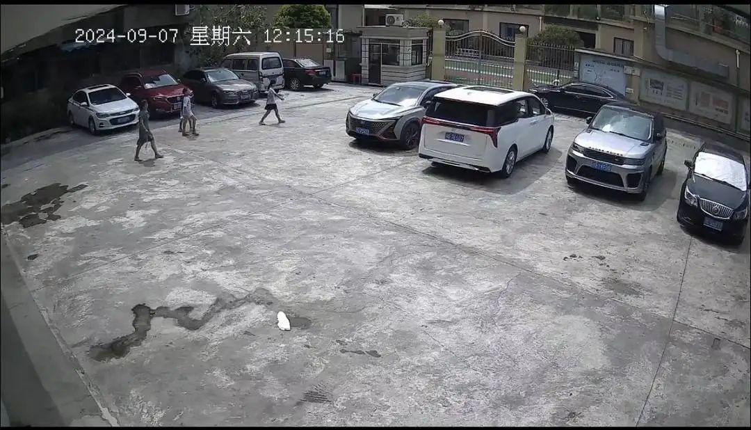 四川乐山9岁女孩外出“和同学玩”,失联近一天后被发现溺亡,同学曾否认在一起(图2)
