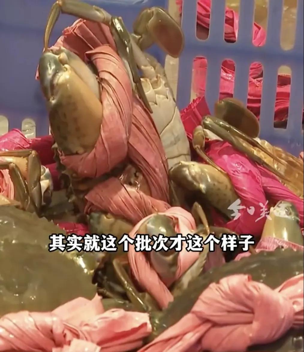 广州男子买60块钱螃蟹20块钱绳?监管部门回应:整改,全部更换为简易扎带(图1)