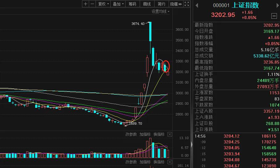 指数如期回踩颈线,牛市行情加速!(图1)