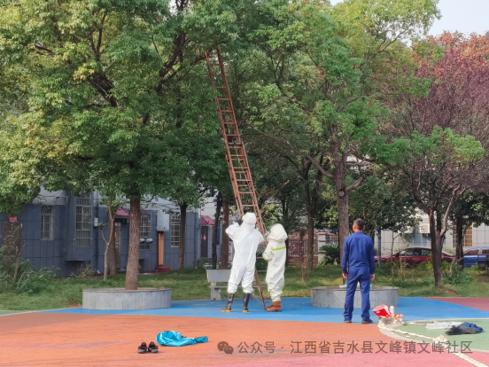 文峰社区:为民解忧清蜂窝 消除隐患居民赞(图1)