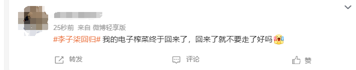 20分钟9.3万赞!时隔1217天李子柒回归!网友:念念不忘,必有回响(图6)
