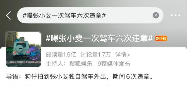 张小斐被曝一次驾车六次违章,交警回应:已依法处理 (图8)