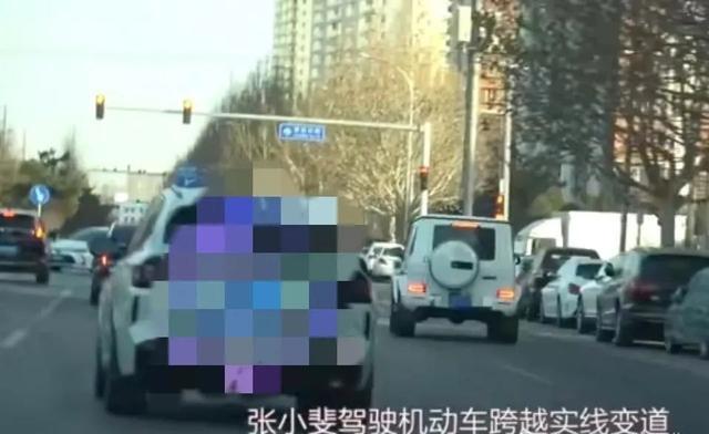 张小斐被曝一次驾车六次违章,交警回应:已依法处理 (图3)