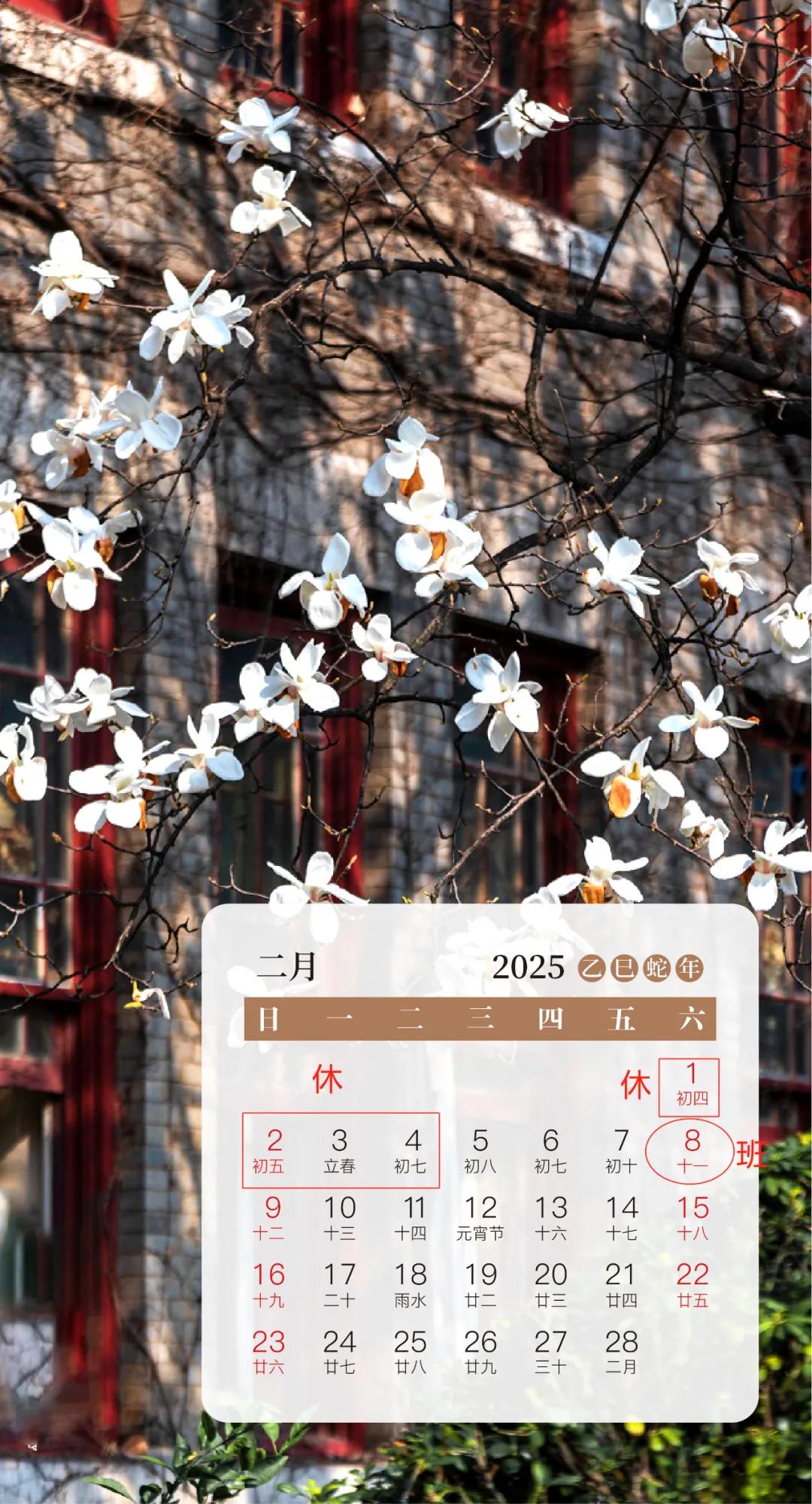 春节放假通知来啦!下周上班时间有变(图2)