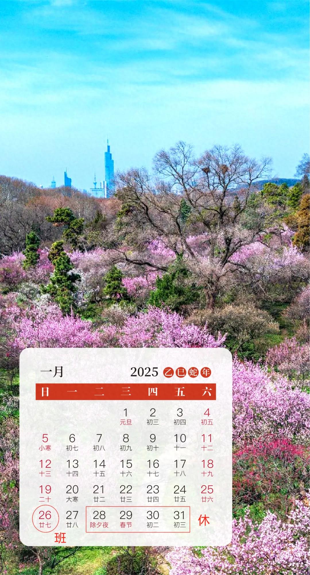 春节放假通知来啦!下周上班时间有变(图1)