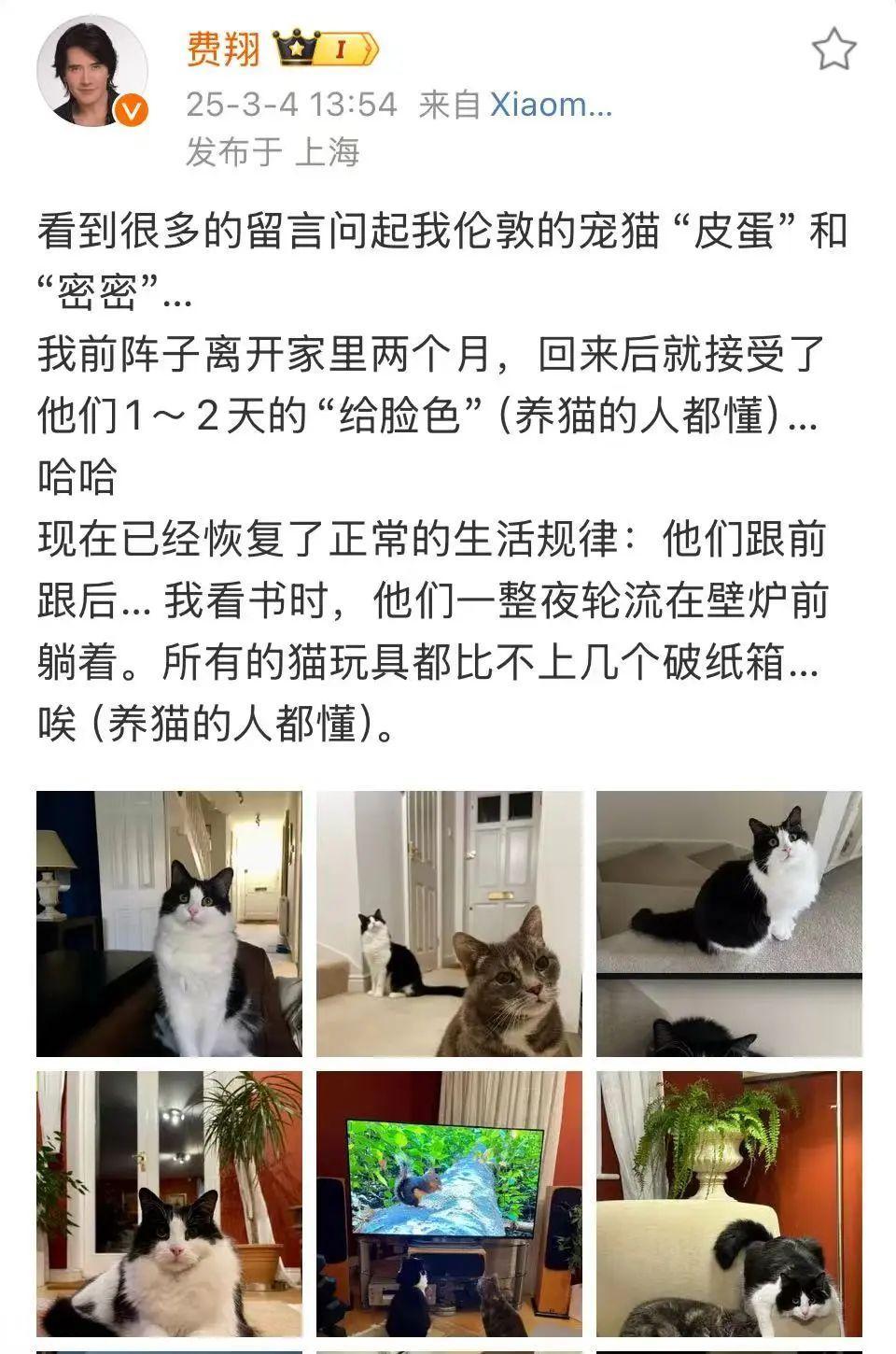 冲上热搜!费翔被“给脸色”(养猫的人都懂)了?(图2)