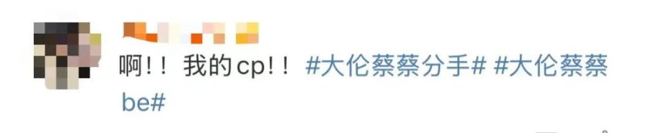 消息冲上热搜!《怦然心动20岁》大伦蔡蔡宣布分手,网友纷纷表示意(图4)