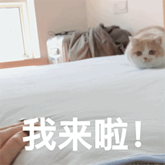 设计素材:让男朋友看了羞羞的表情包合集(图1)