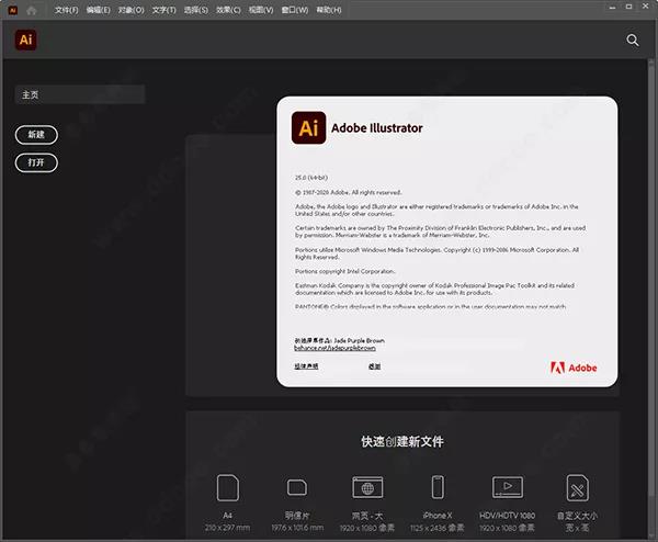 AI2021中文破解版及安装教程(图5)
