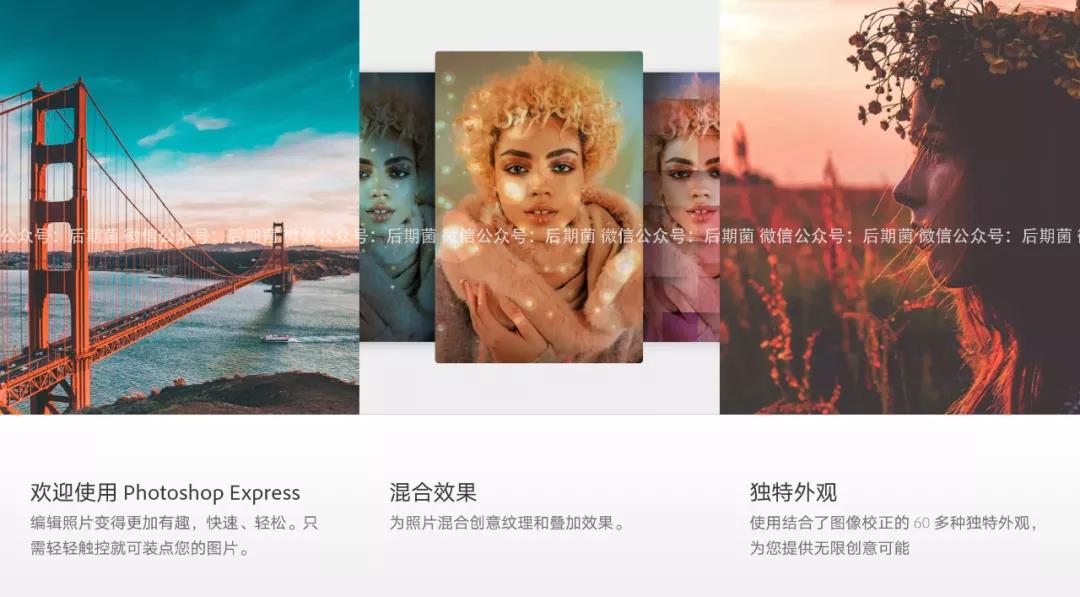 2021手机版PS+LR 已上线!融入超多黑科技(图3)
