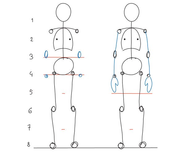 人体绘画教程-人体解剖学基础之基本身体比例(图8)