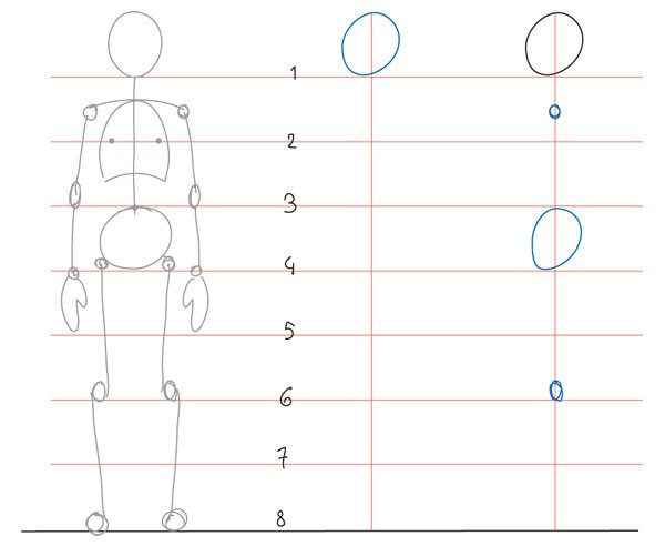 人体绘画教程-人体解剖学基础之基本身体比例(图9)