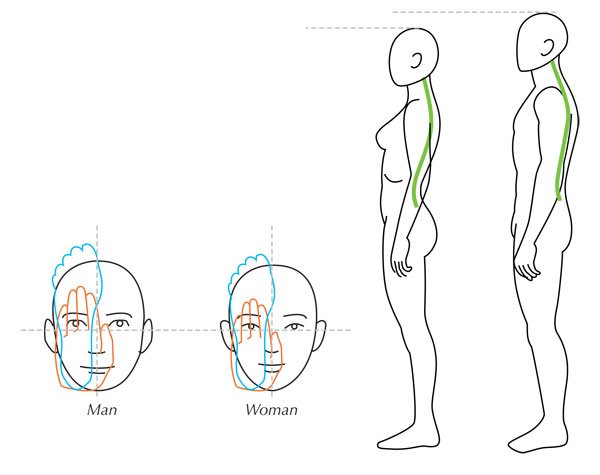 人体绘画教程-人体解剖学基础之高级身体比例(图7)