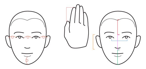 人体绘画教程-人体解剖学基础之面部基础知识(图3)