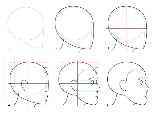 人体绘画教程-人体解剖学基础之面部基础知识(图4)