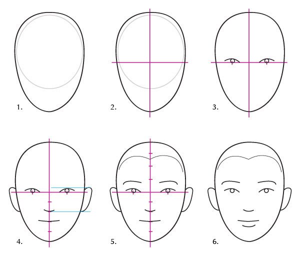 人体绘画教程-人体解剖学基础之面部基础知识(图2)